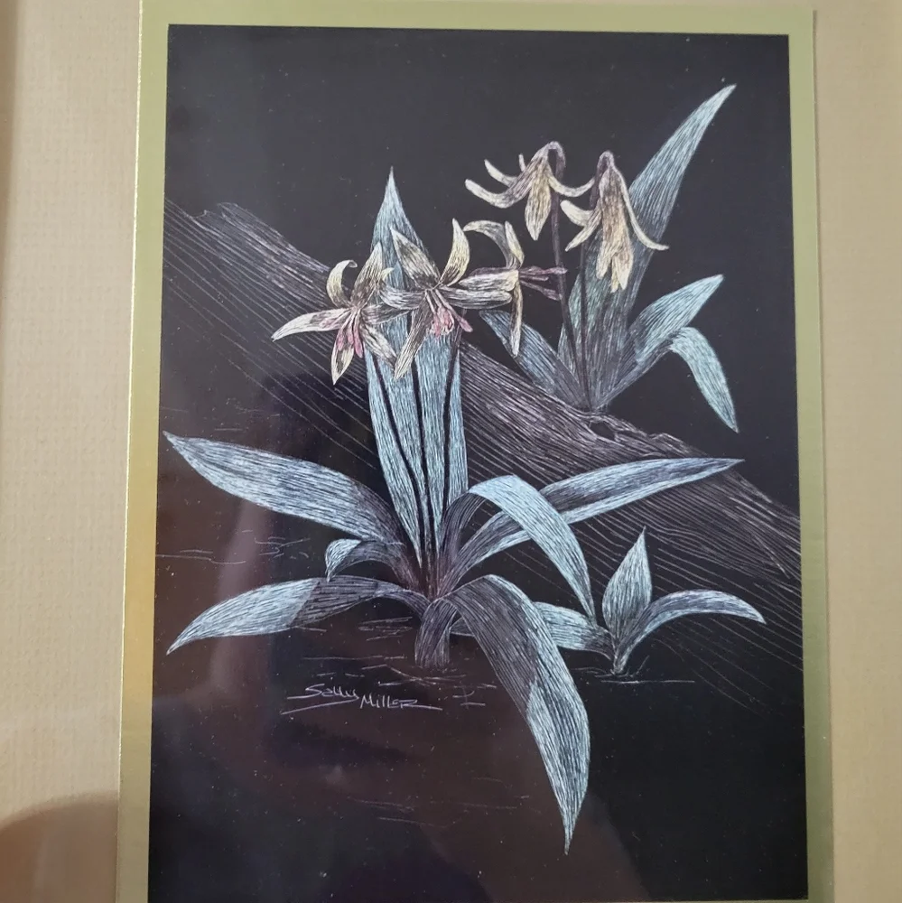 Sally Miller Art Scratchboard Orchids Framed
